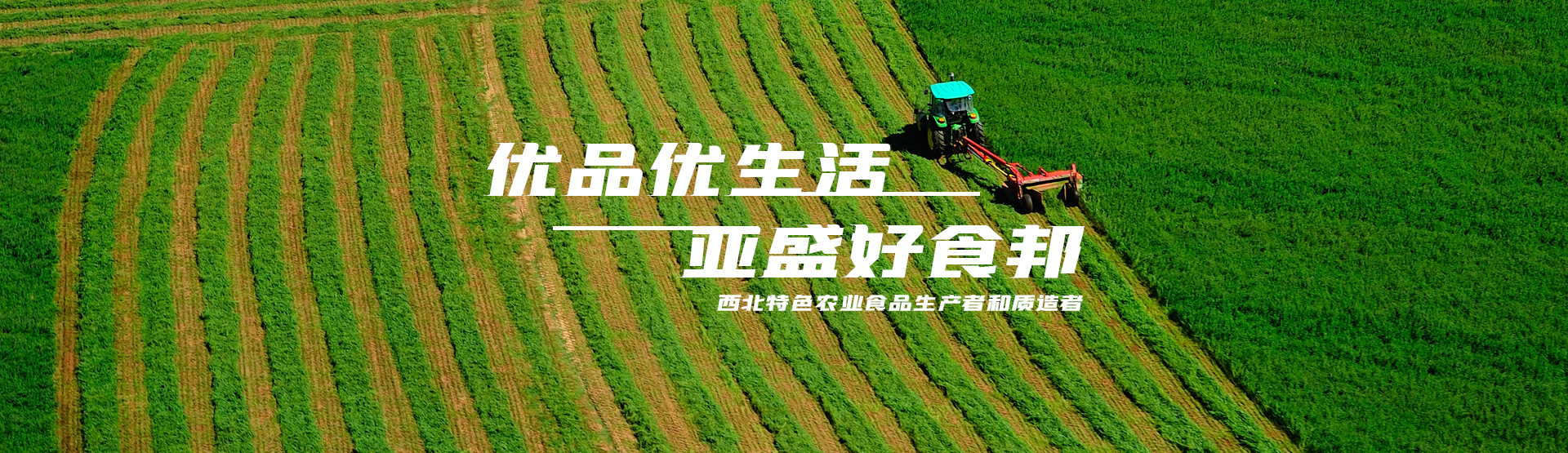 尊龙凯时利来，优品优生活