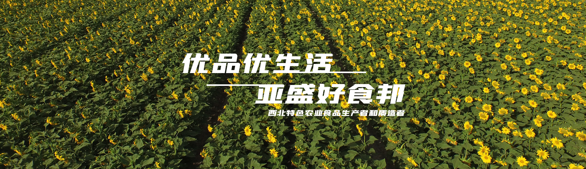 尊龙凯时利来，优品优生活